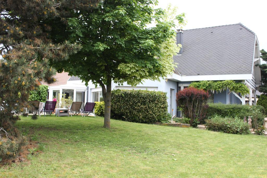Gite De La Route Du Vin Ribeauvillé Extérieur photo